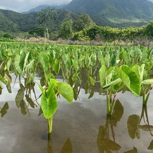 Meet your Posher, Kaitlyn